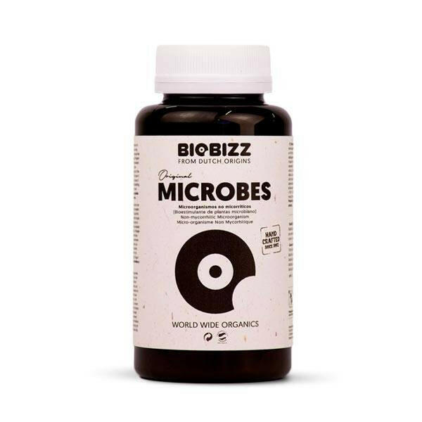 Microbes