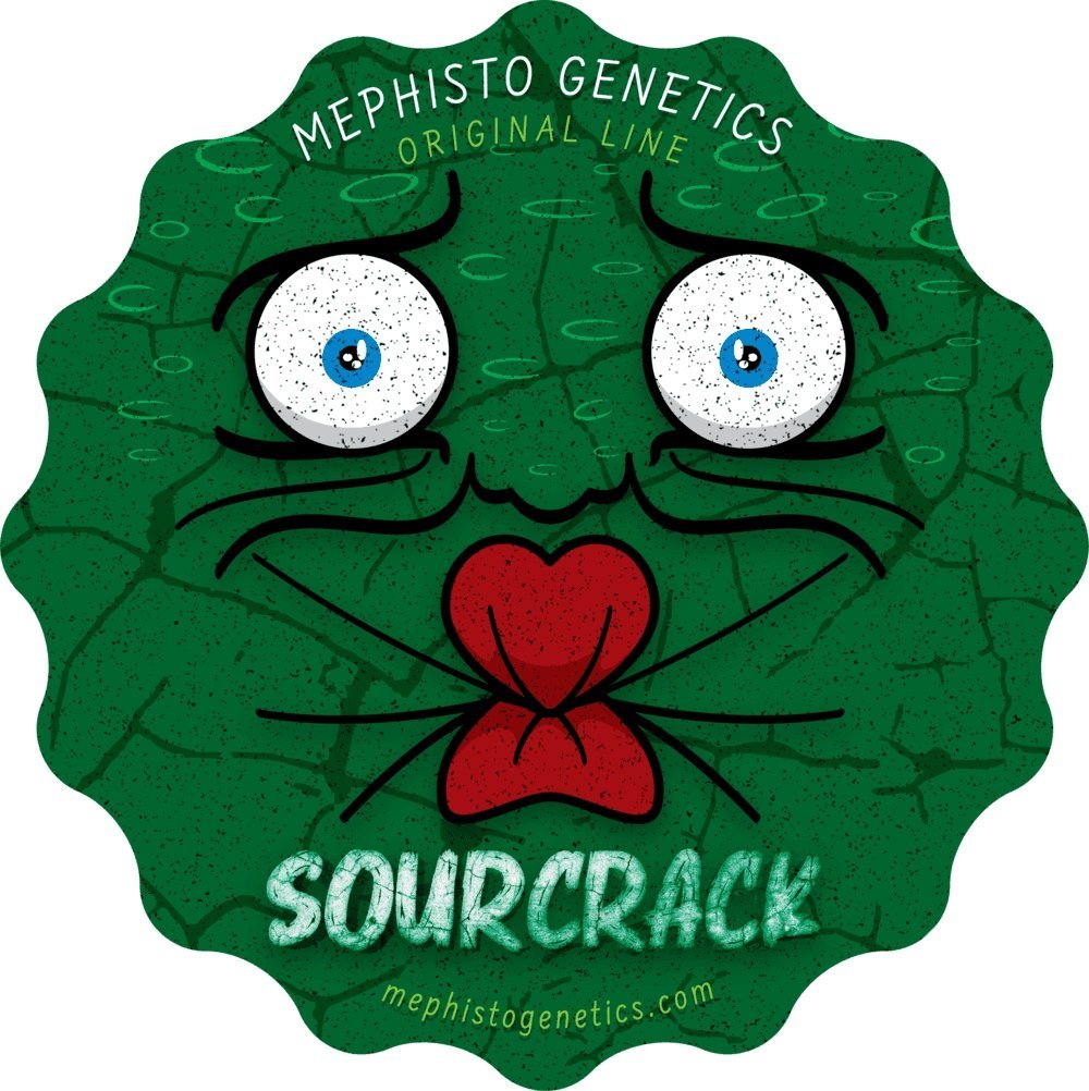 Mephisto Genetics - Sour Crack 7 semi
