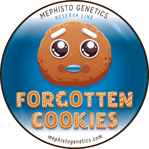 Mephisto Genetics - Forgotten Cookies auto 7 semi