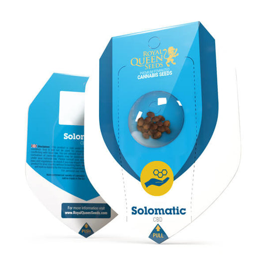 Royal Queen Seeds Solomatic 3 semi